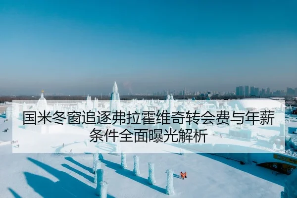 国米冬窗追逐弗拉霍维奇转会费与年薪条件全面曝光解析